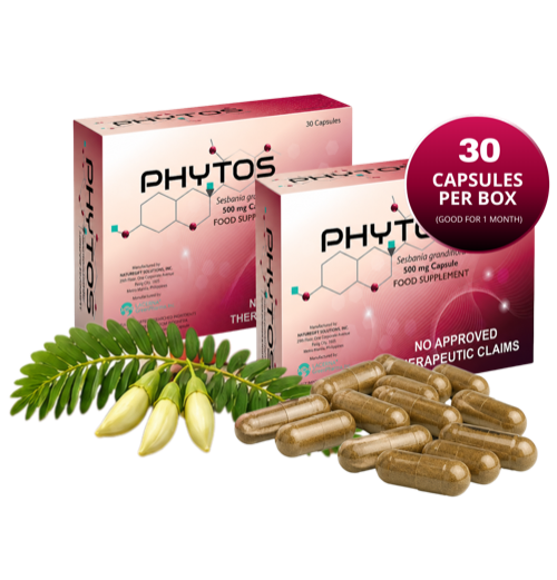 Two PHYTOS Sesbania grandiflora 500 mg capsule food supplement boxes with Katuray flowers and capsules; badge reads 30 capsules per box, good for 1 month; packaging states no approved therapeutic claims